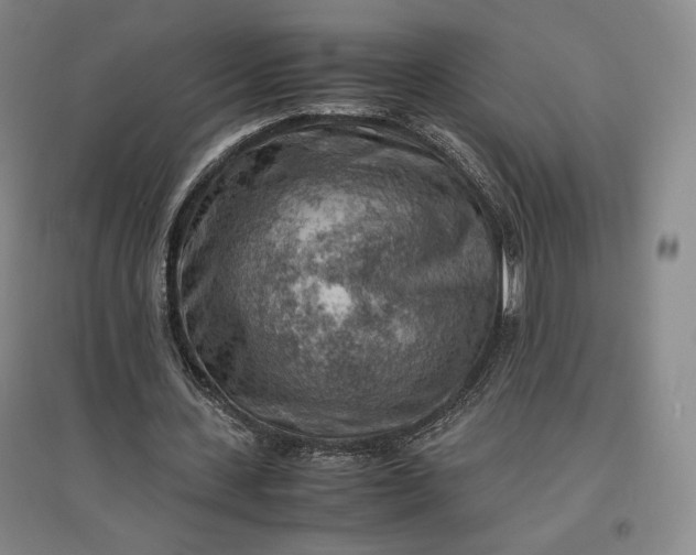 X0000096940531200802221322