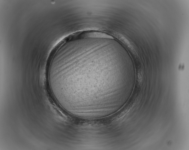 X0000096940532200802221322