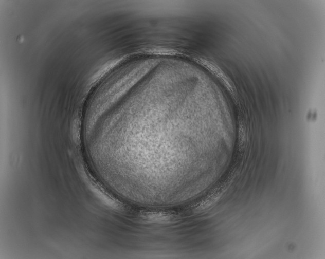 X0000096940533200802221322