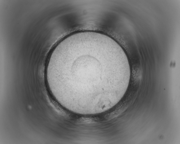 X0000096940534200802221322