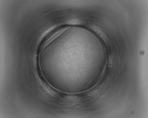 X0000096940535200802221322