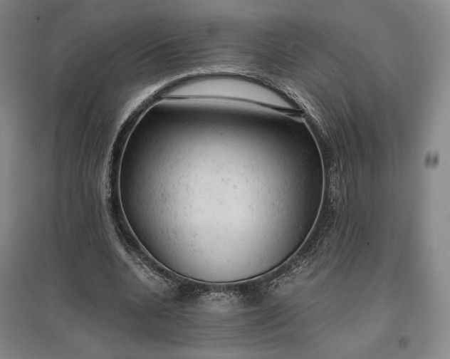 X0000096940536200802221322