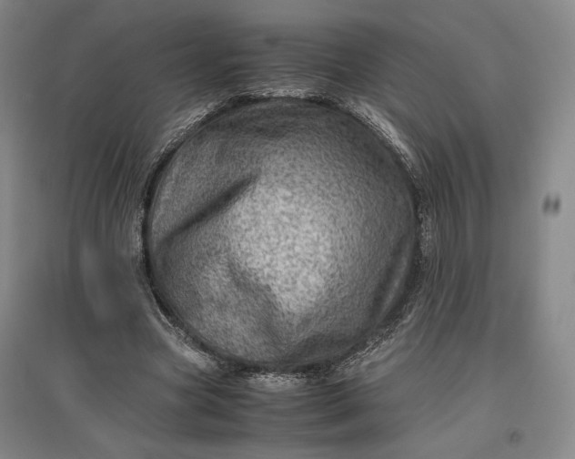 X0000096940537200802221322