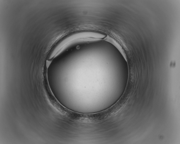 X0000096940538200802221322