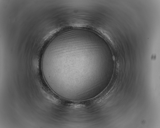 X0000096940539200802221322