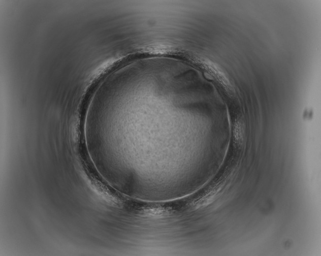 X0000096940540200802221322