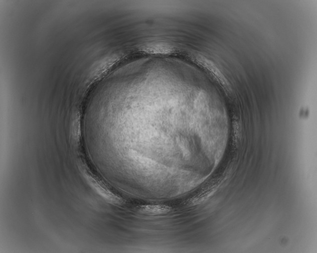 X0000096940541200802221322