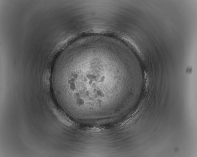 X0000096940542200802221322