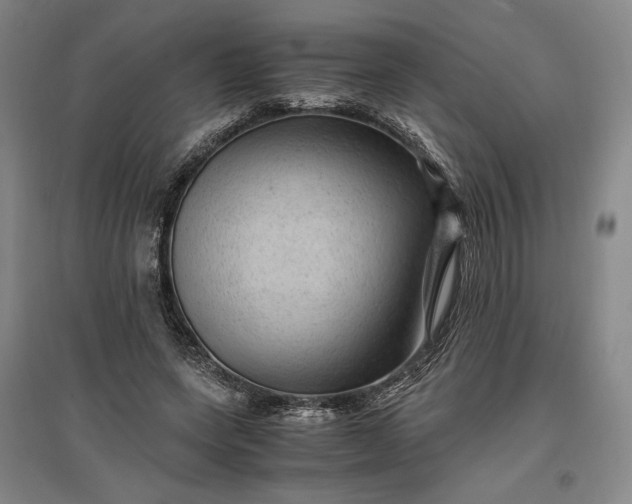 X0000096940543200802221322