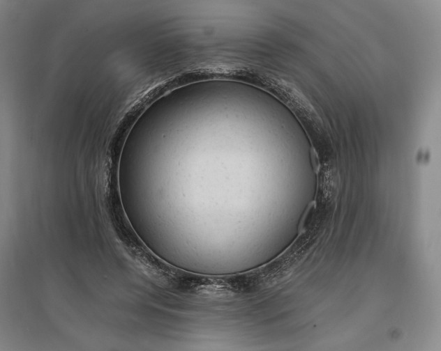 X0000096940544200802221322