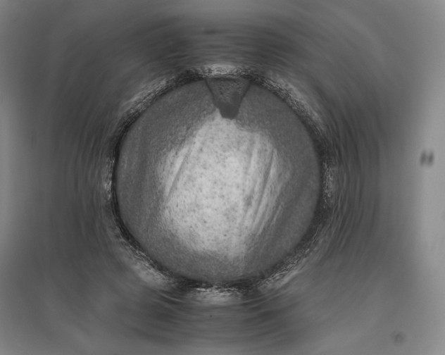 X0000096940545200802221322