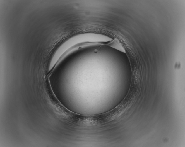 X0000096940546200802221322