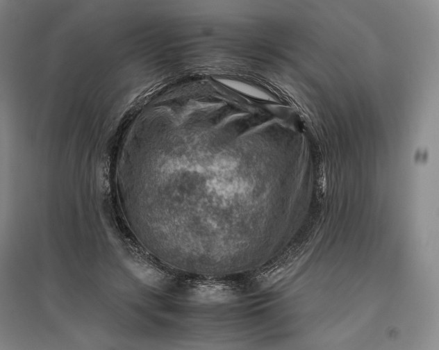 X0000096940547200802221322