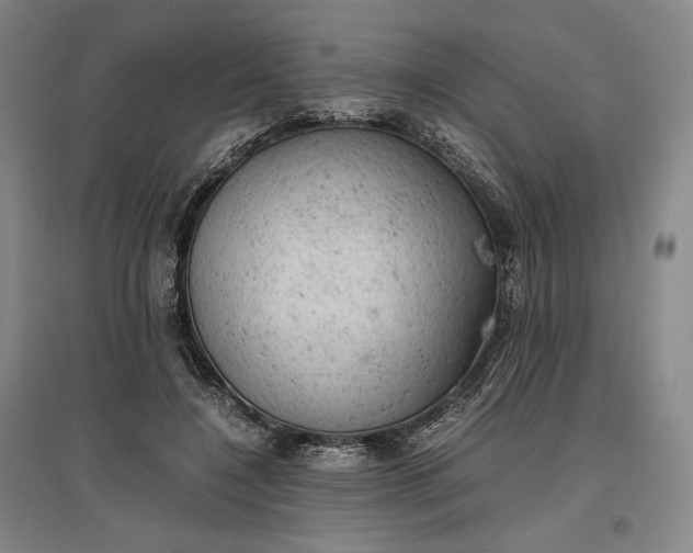 X0000096940548200802221322