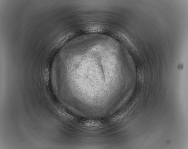 X0000096940549200802221322