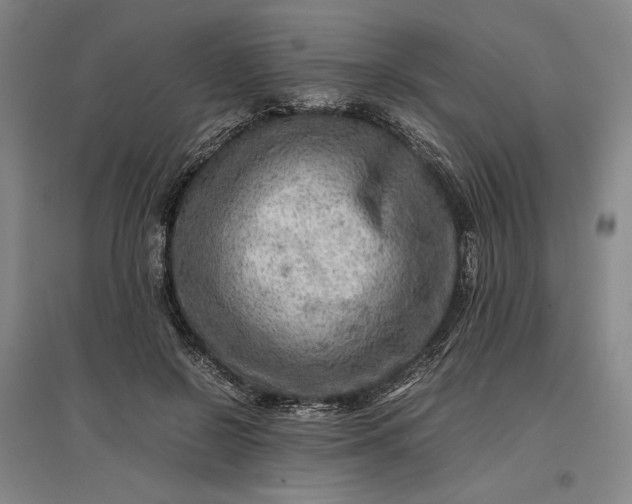 X0000096940550200802221322