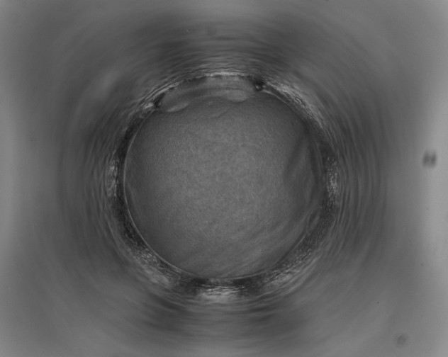 X0000096940551200802221322