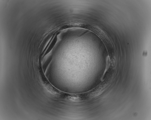 X0000096940552200802221322