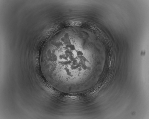 X0000096940553200802221322