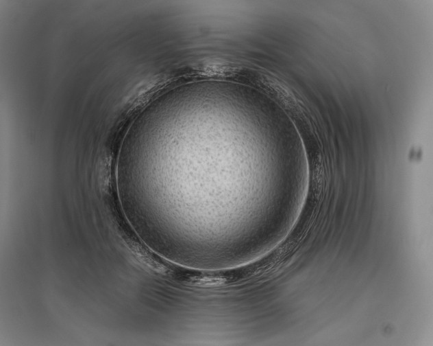 X0000096940554200802221322