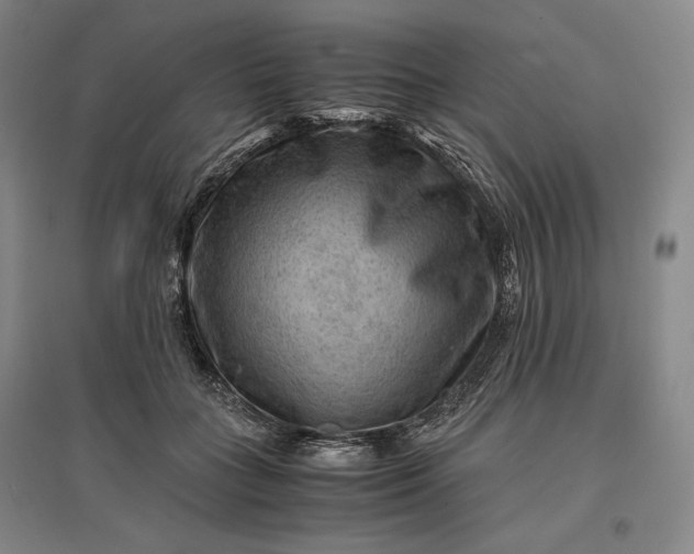 X0000096940555200802221322