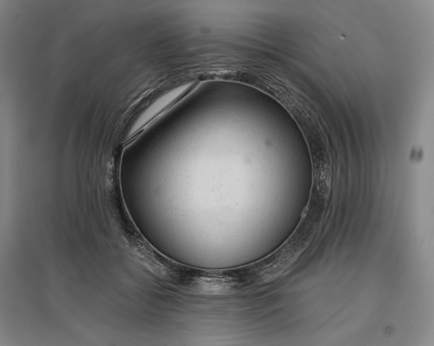 X0000096940556200802221322