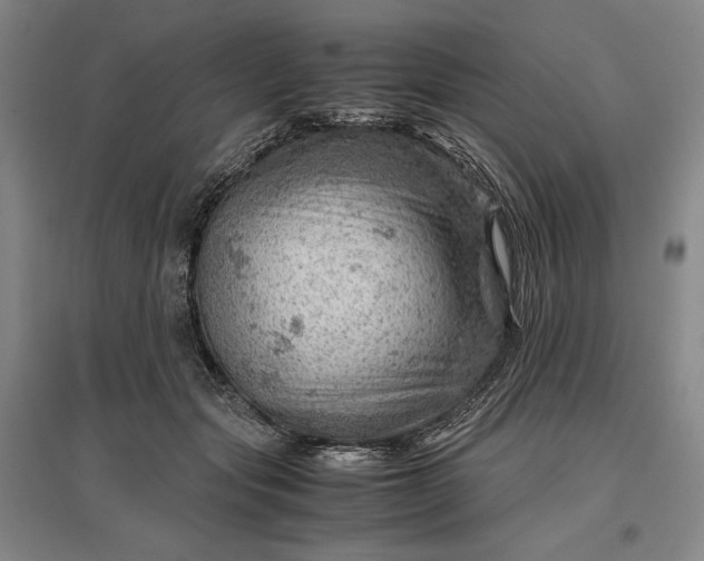 X0000096940557200802221322