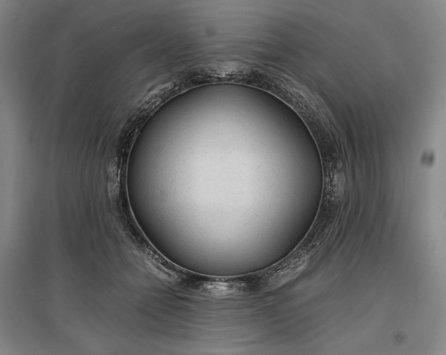 X0000096940558200802221322