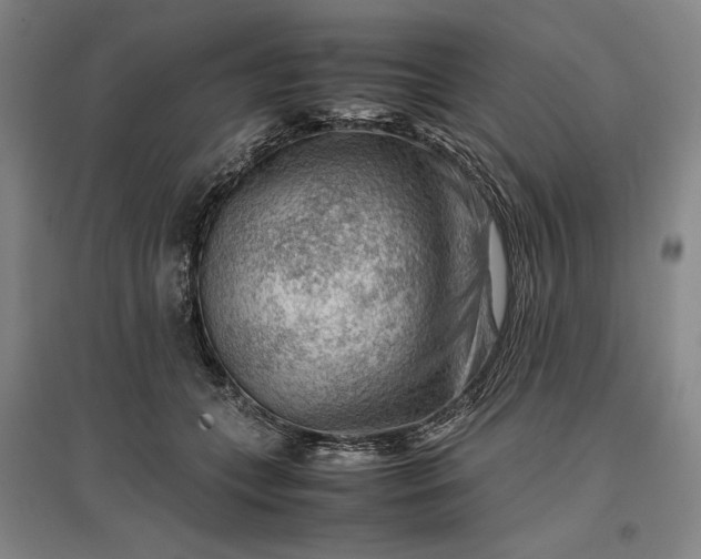 X0000096940559200802221322