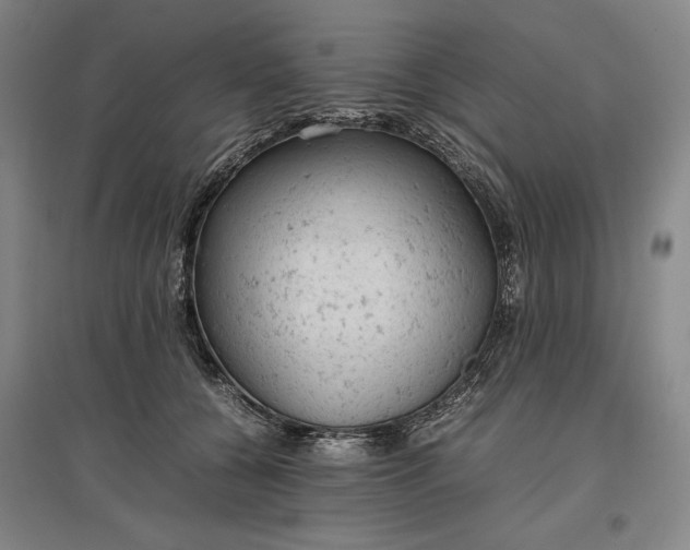 X0000096940560200802221322