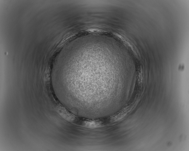 X0000096940561200802221322