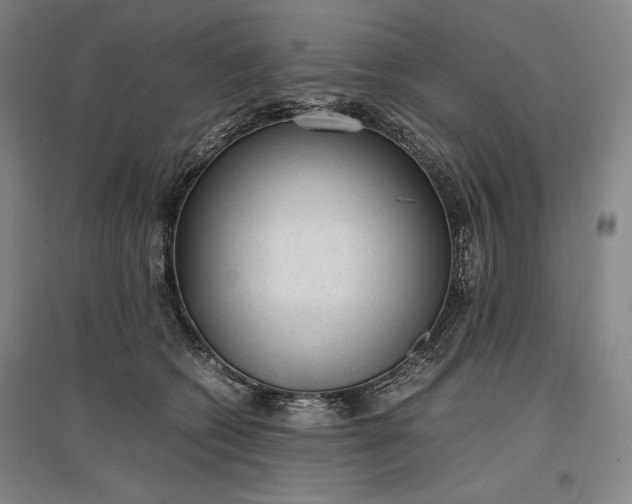 X0000096940562200802221322