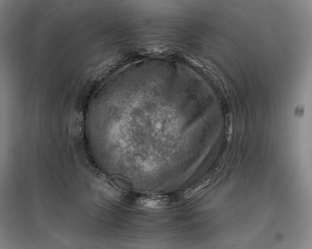 X0000096940563200802221322