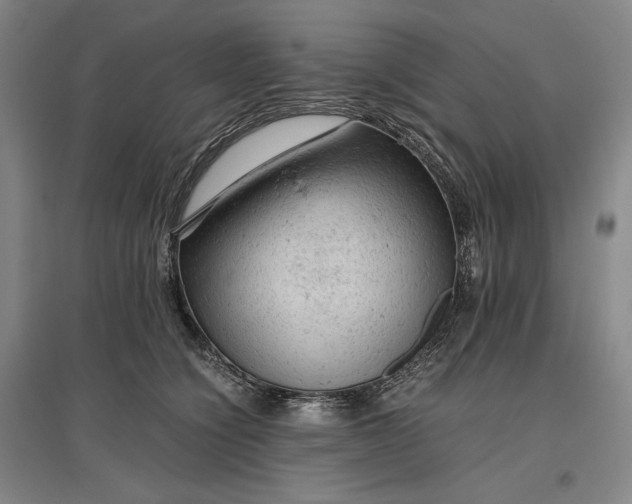 X0000096940564200802221322