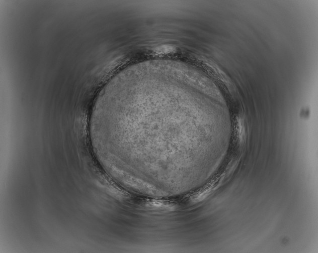 X0000096940565200802221322