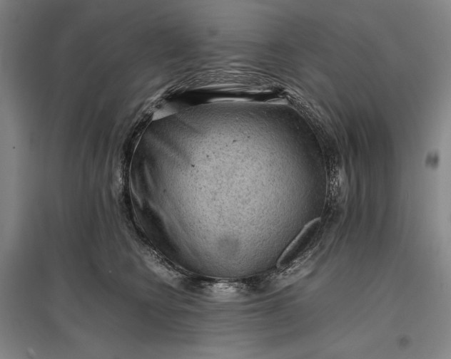 X0000096940566200802221322