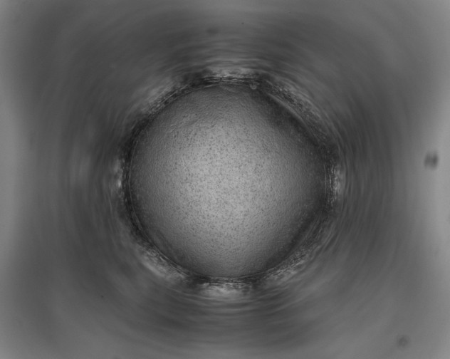 X0000096940567200802221322