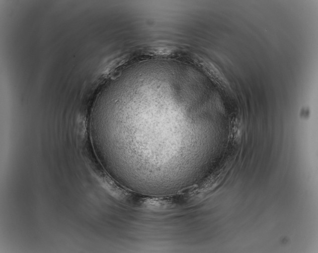 X0000096940568200802221322