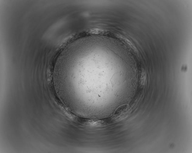 X0000096940569200802221322