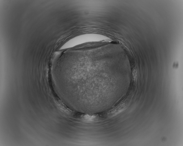 X0000096940570200802221322