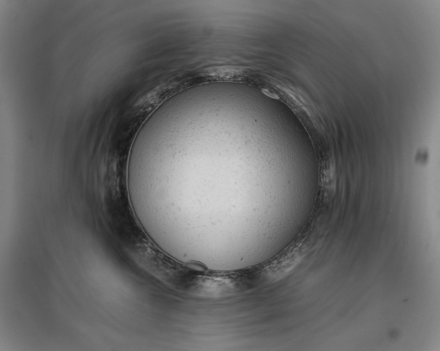 X0000096940572200802221322