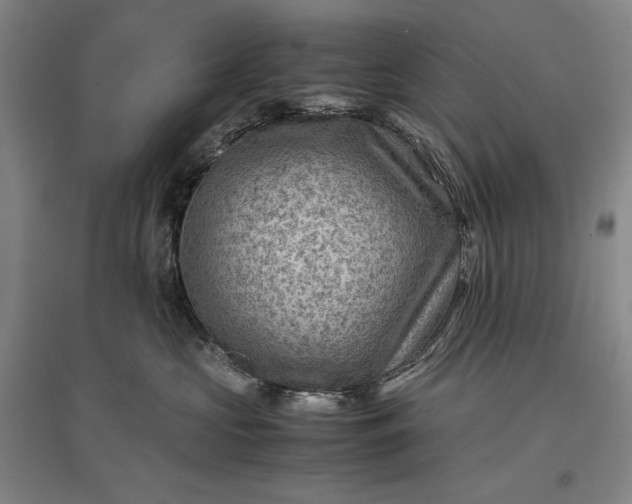 X0000096940573200802221322