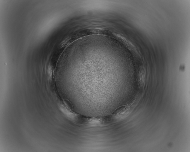 X0000096940574200802221322