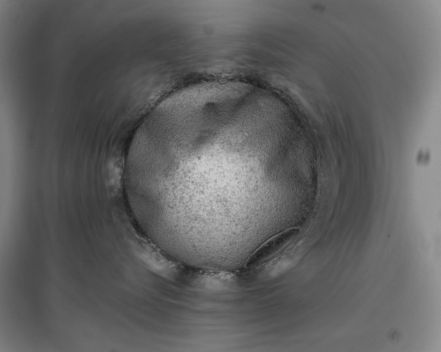 X0000096940576200802221322