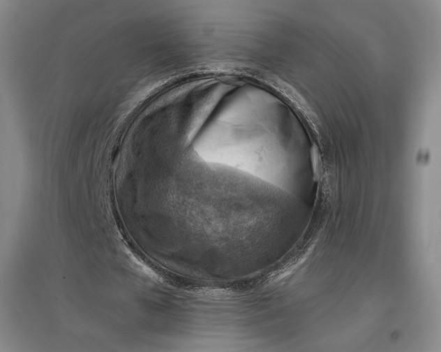 X0000096940577200802221322