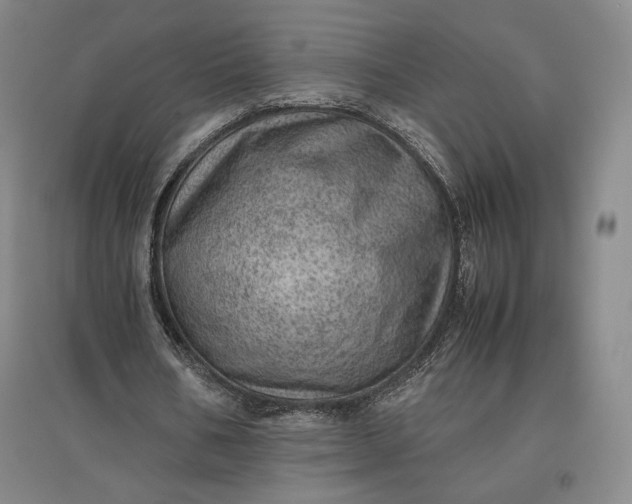 X0000096940578200802221322