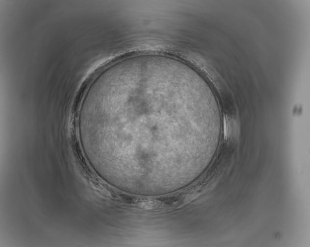 X0000096940579200802221322