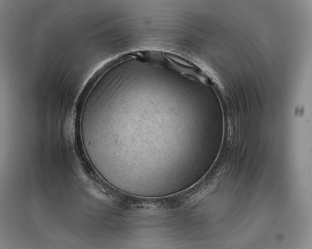 X0000096940580200802221322