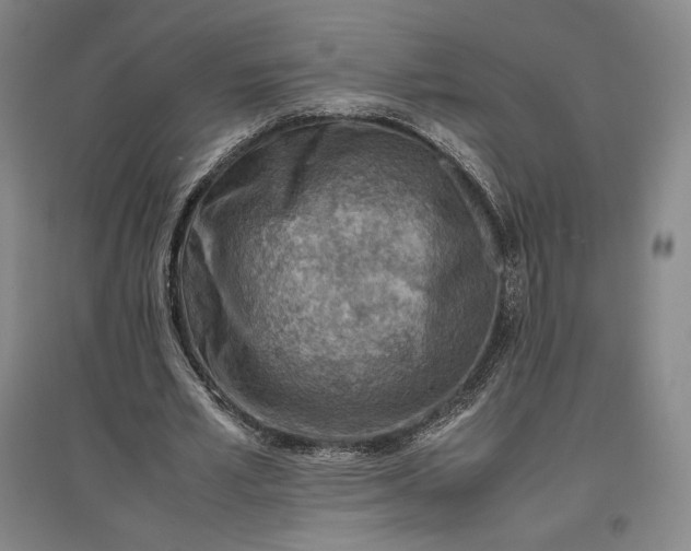 X0000096940581200802221322