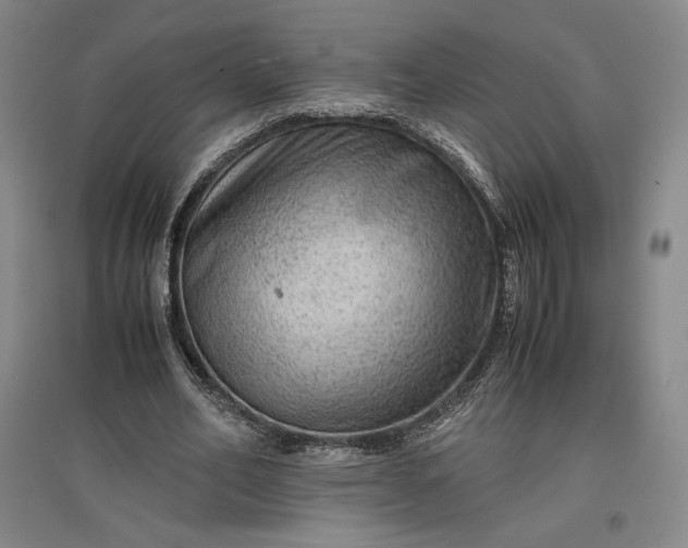 X0000096940582200802221322